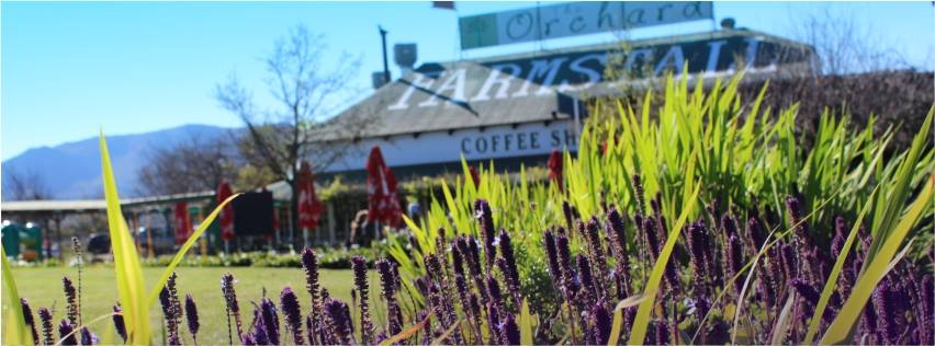 The Orchard Farm Stall & Coffee Shop, Grabouw, Western Cape, South Africa
