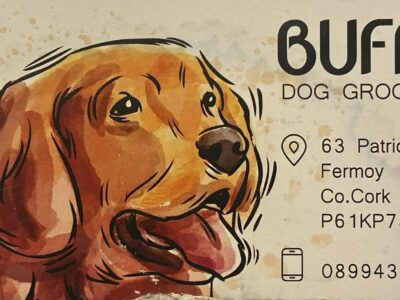 Buffy Dog Grooming, Pets, Fermoy, Co Cork, Munster, Ireland