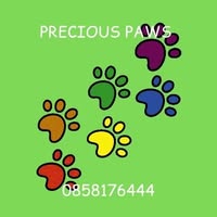 Precious Paws, Dog Grooming, Cobh, Co Cork, Munster, Ireland