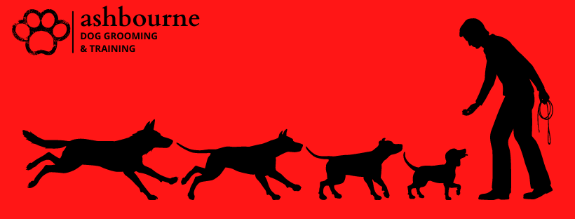 Ashbourne Dog Grooming and Training, Ashbourne, Co Meath, Leinster, Ireland