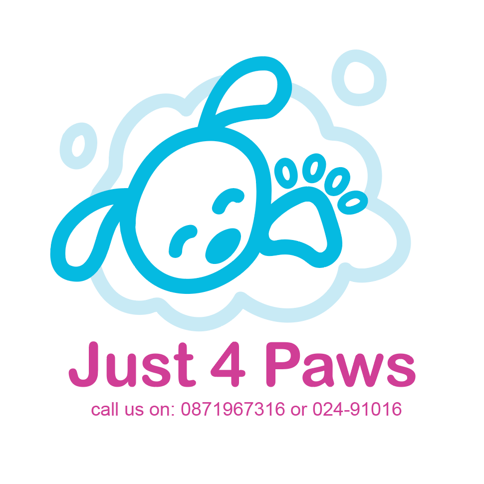Just 4 Paws, Dog Grooming, Pets, Youghal, Co. Cork, Munster, Ireland