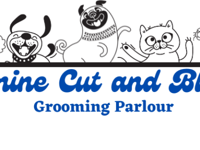 Canine Cut and Blow Pet Dog Grooming, Pets, Benoni, Gauteng, South Africa