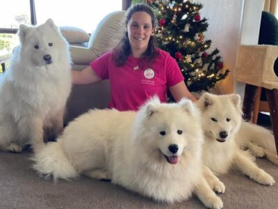 Wellington Dog Groomers, Pets, Karori, Wellington, New Zealand