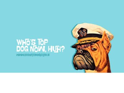 Dog Grooming Cork, Dog Grooming, Pets, Midleton, Co. Cork, Munster, Ireland