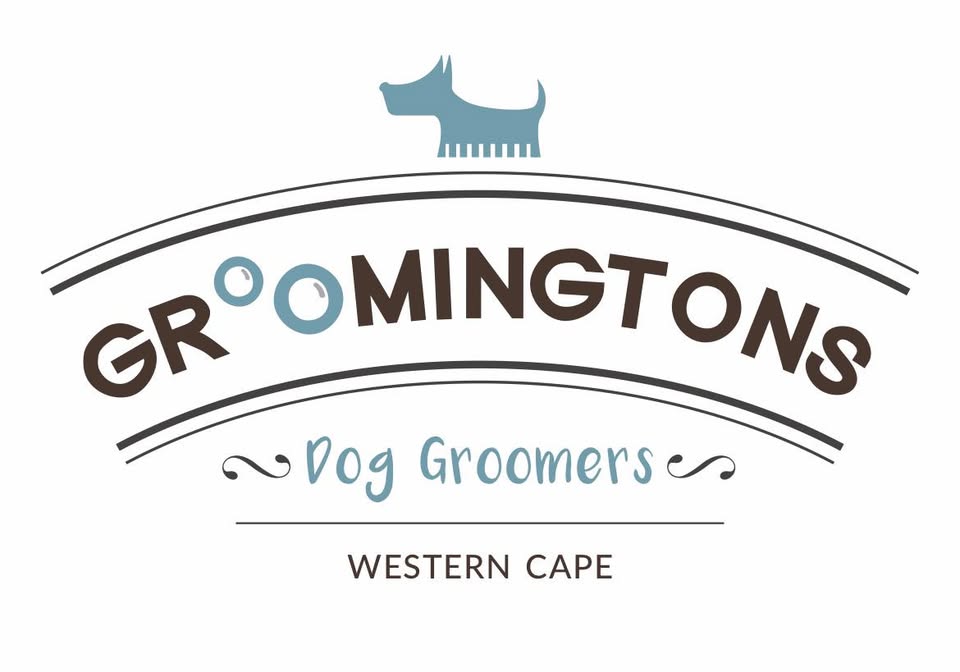 Groomingtons, Dog Grooming, Somerset West, Western Cape, South Africa
