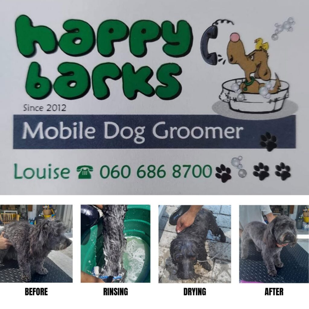 Happy Barks, Dog Grooming, Knysna, Western Cape, South Africa