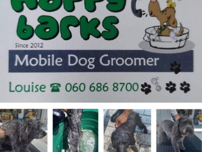 Happy Barks, Dog Grooming, Knysna, Western Cape, South Africa