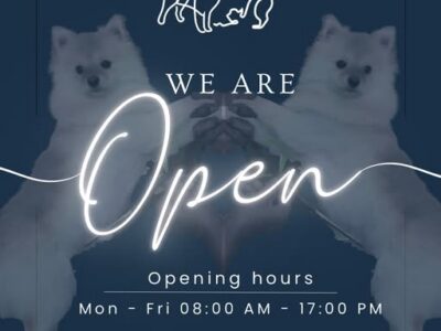 The Groomery, Dog Grooming, Middelburg, Mpumalanga, South Africa