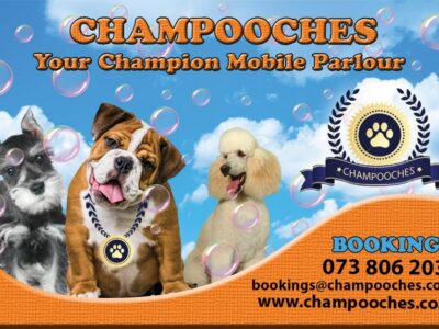 Champooches Mobile Pet Grooming and Doggy Daycare, Alberton, Gauteng, South Africa