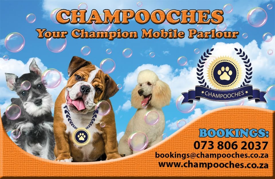 Champooches Mobile Pet Grooming and Doggy Daycare, Alberton, Gauteng, South Africa