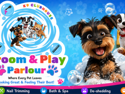 K9 Clubhouse Groom and Play Parlour, Pets, Kwa-Zulu Natal, Westville, South Africa