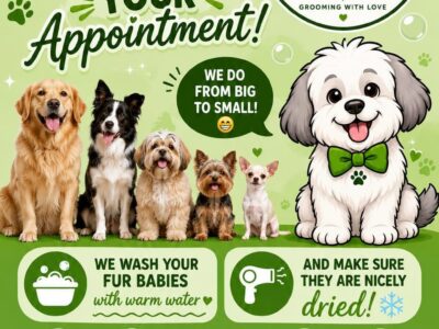 Dip & Knip Doggy Parlour, Pets, Rustenburg, North West, South Africa