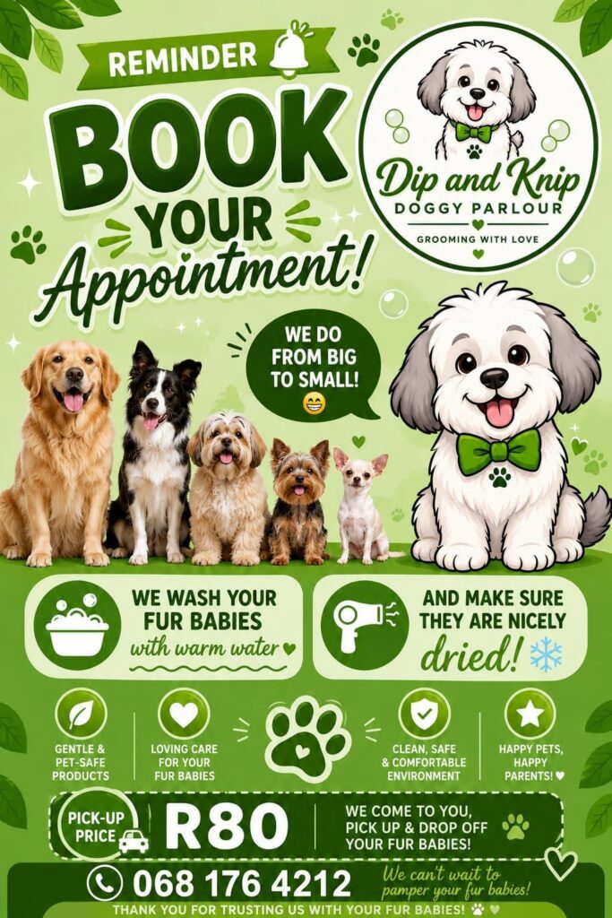 Dip & Knip Doggy Parlour, Pets, Rustenburg, North West, South Africa