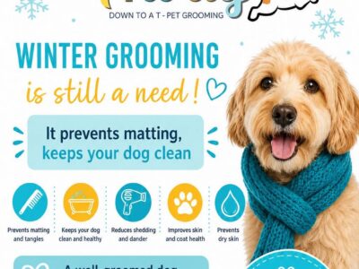 A Woof Away Pet Grooming/, Dog Grooming, Hospitaalpark, Bloemfontein, Free State, South Africa