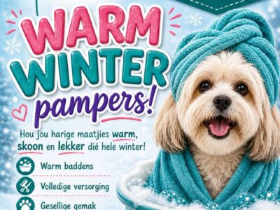 Kimmi's Pet PAWlour, Dog Grooming, Pets, Kroonstad, Free State, South Africa