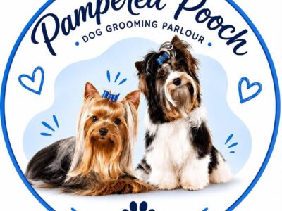 Pampered Pooch Parlour, Dog Grooming, Plettenberg Bay, Western Cape, South Africa