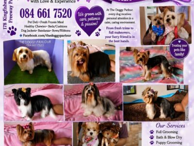 The Doggy Parlour, Dog Grooming, Boksburg, Gauteng, South Africa