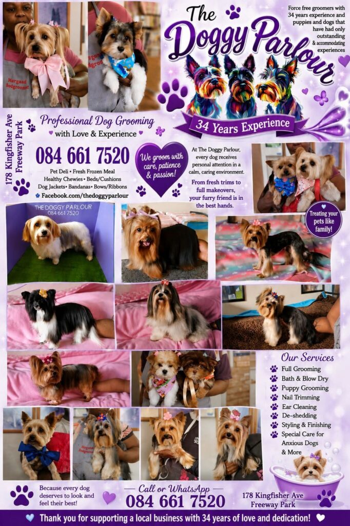 The Doggy Parlour, Dog Grooming, Boksburg, Gauteng, South Africa