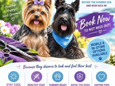 Just Groom It, Dog Grooming, Milnerton, Western Cape, South Africa