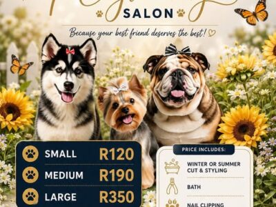 101 Doggy Whispers Salon, Dog Grooming, Bayswater, Bloemfontein, Free State, South Africa